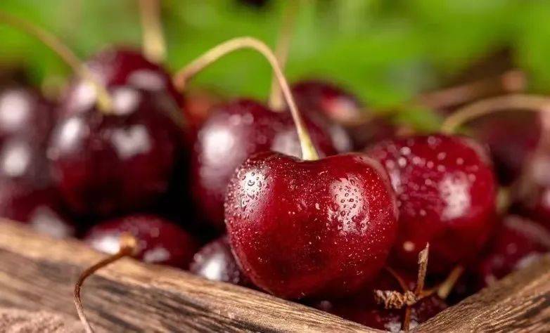 水果中的"万人迷"【加拿大车厘子】新鲜上线,全网首发!