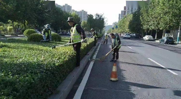 冬青 修剪
