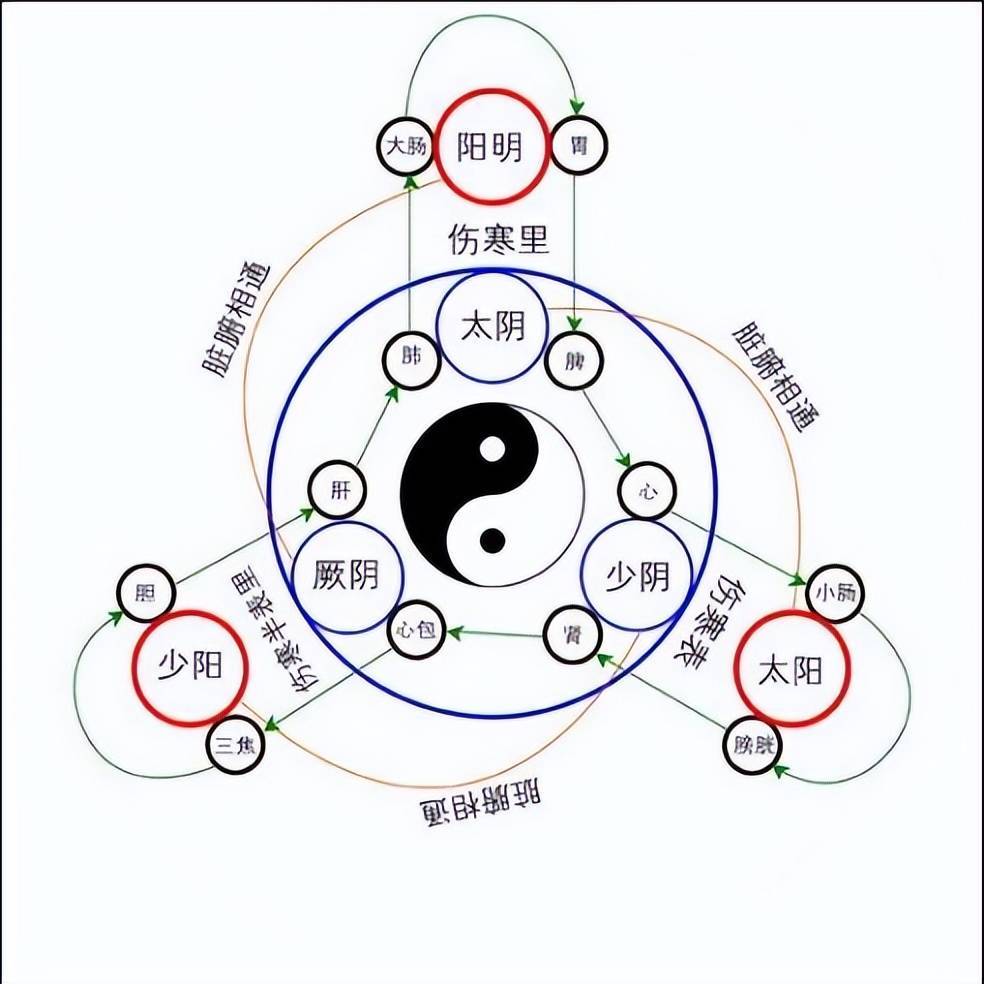 中医基础理论——第一章:阴阳的基本概念