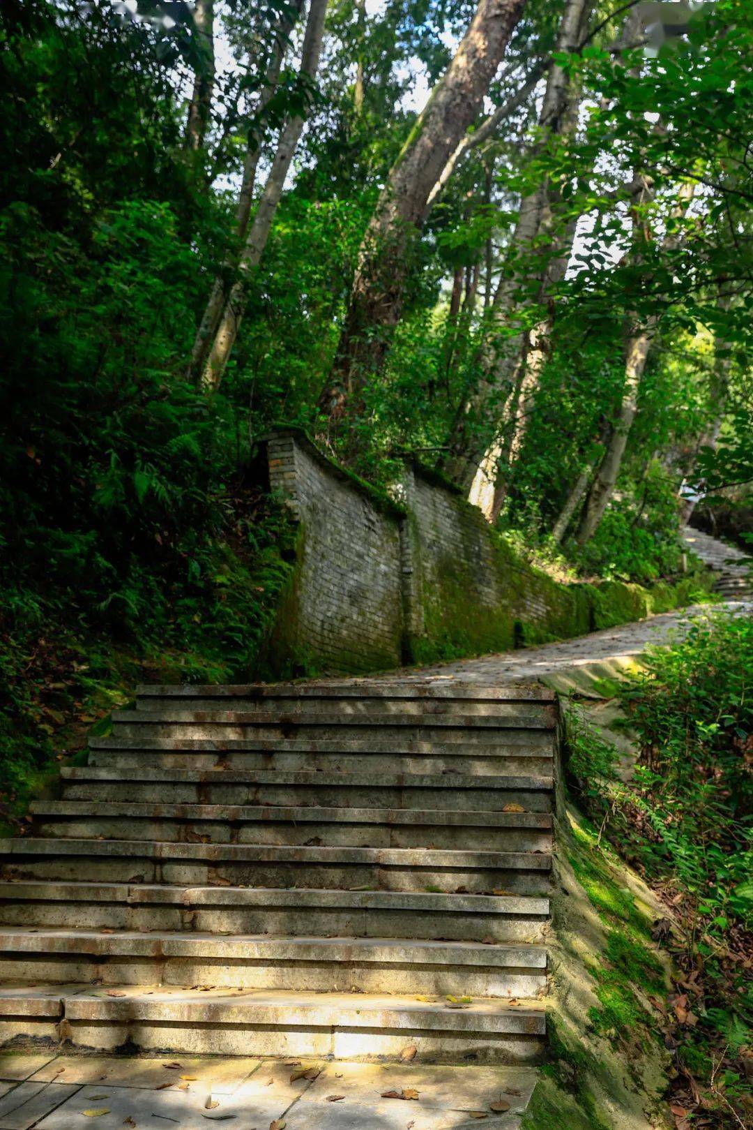 保山| 国庆打卡指南!每个地方都值得一去!_隆阳_江坝_东山
