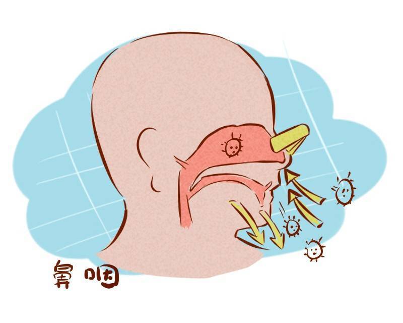 原创
            清理鼻腔？减少细菌滋生？医生告知：挖鼻屎，真正的好处只有一个
                
                 