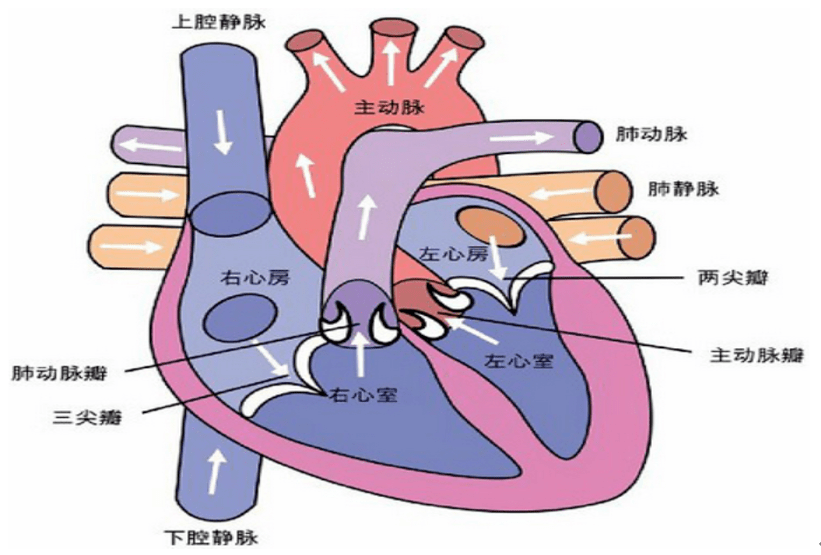 心界正常图片