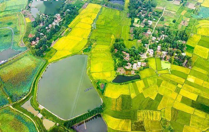 美丽河南(75)| 中原大地添新景 豫南风景尤迷人_水库_信阳_田野