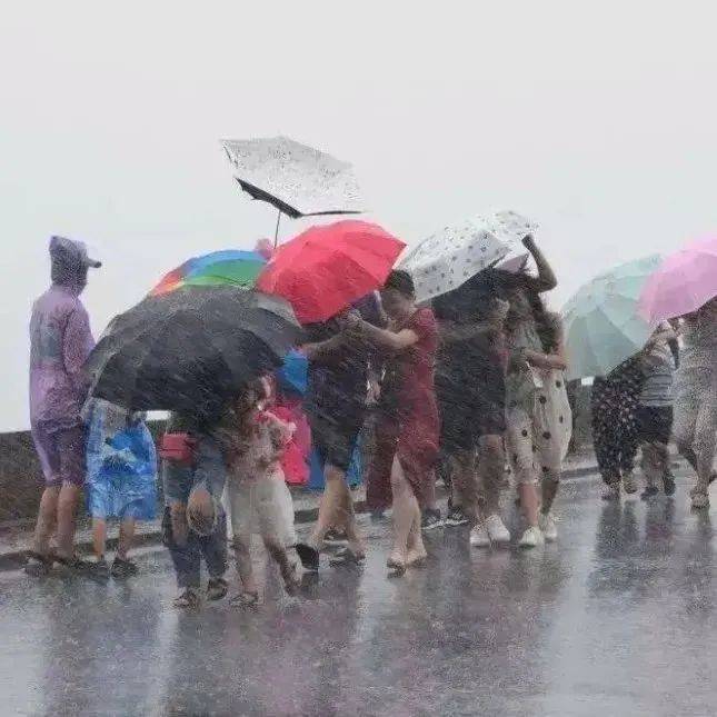 36℃高温冷空气8级雷暴大风，东莞接下来天气是气温广东阵雨 7945