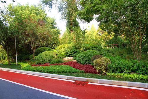 ?全长1500米 彩色步道亮相郑州碧沙岗公园