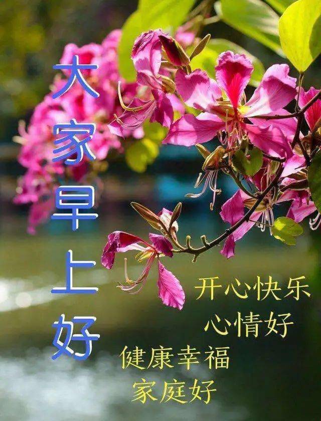 2022最新漂亮早上好祝福语动态图片带鲜花 秋天新版早上好问候语图片