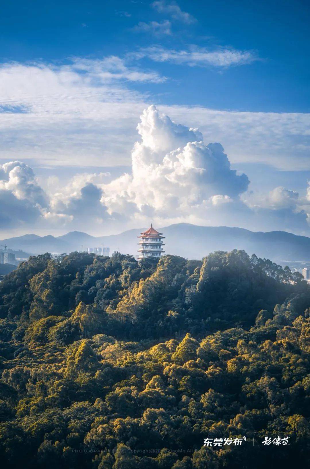 东莞秋日爬山好去处→_登山_长安镇_莲花山