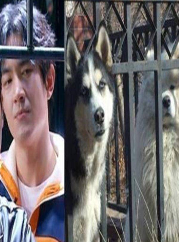 有种"奇葩"叫明星的日常,林更新还原哈奇士,看到他:黄袜黑拖太亮眼!