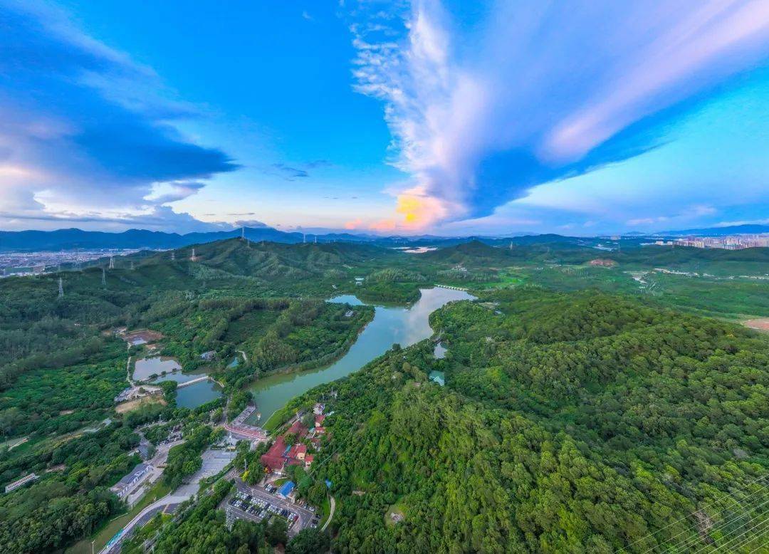 东莞秋日爬山好去处→_登山_长安镇_莲花山