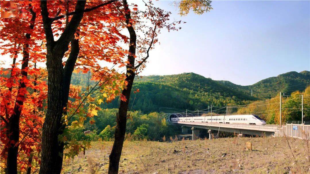 开往秋天的列车——“东北最美高铁”从长春始发