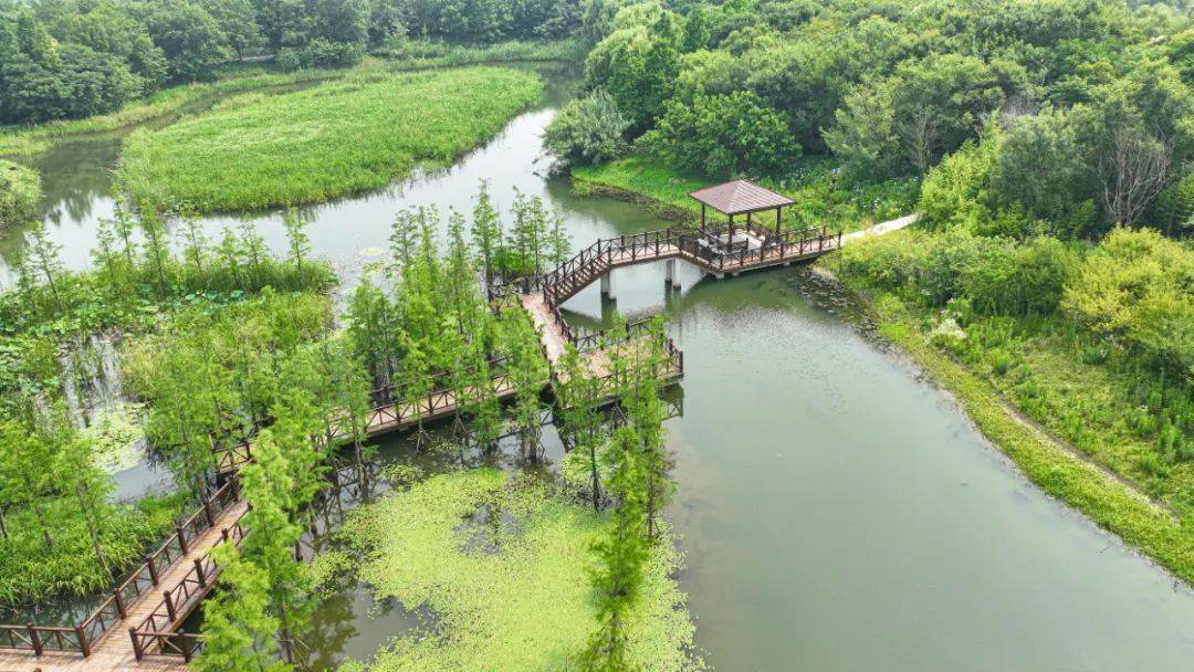 同裡國家溼地公園的前身是同裡肖甸湖森林公園,2013年,公園成為國家級