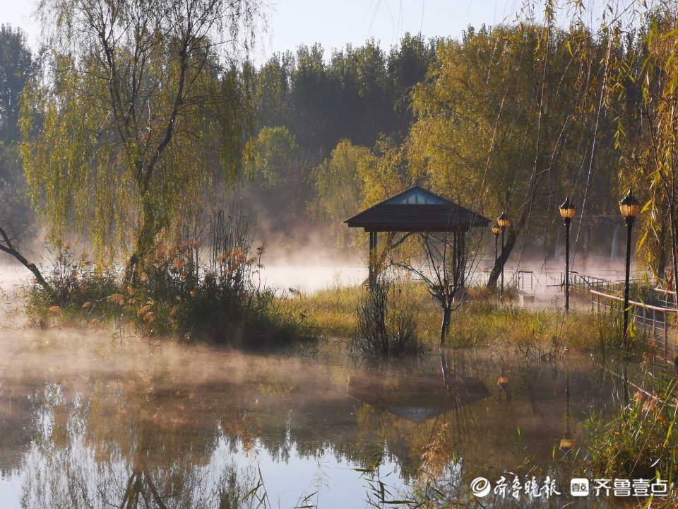 好景山东|济南黄河公园雨后飘“轻纱”，云雾缭绕似“仙境”！