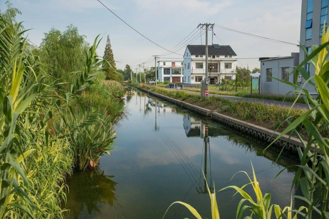 姚庄镇:抢抓长三角一体化发展机遇,打造共同富裕示范先锋_嘉善_涩态