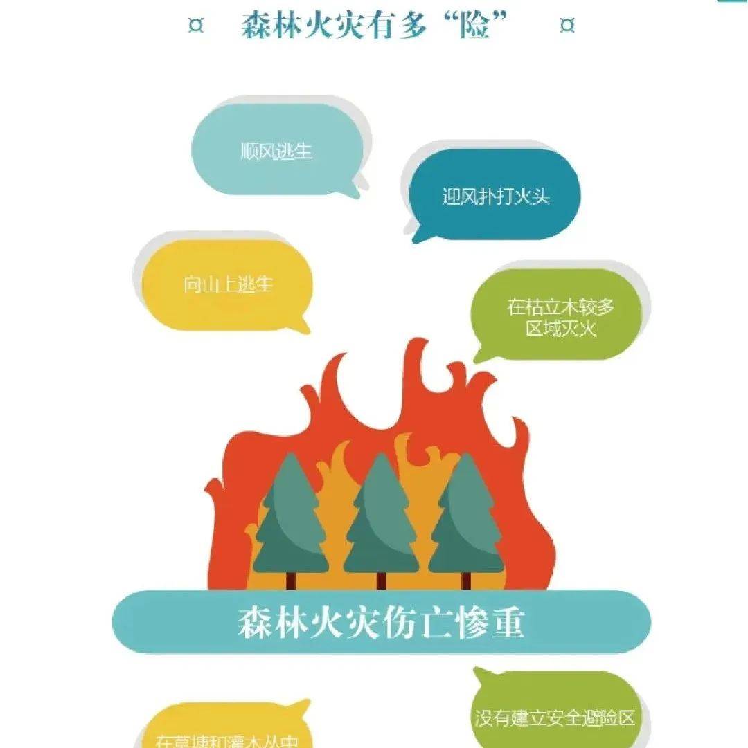 【原创科普】森林火灾防范_防火期_火险_自觉遵守