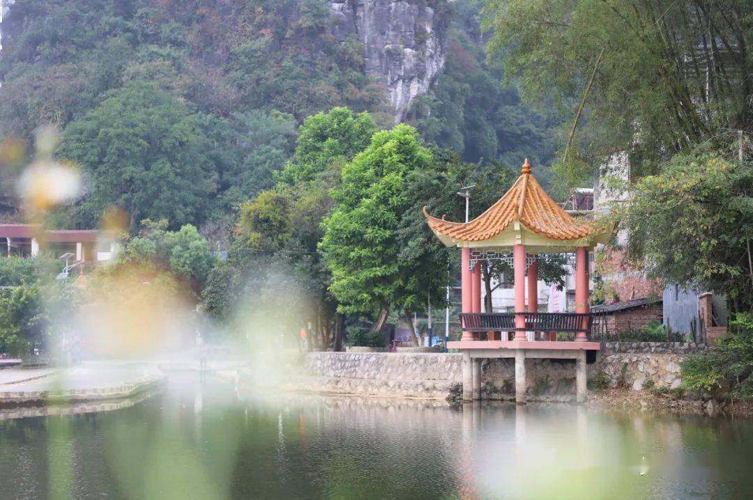 【献礼70周年县庆·乡村振兴篇之四十四】永乐镇白马屯:"绿色产业