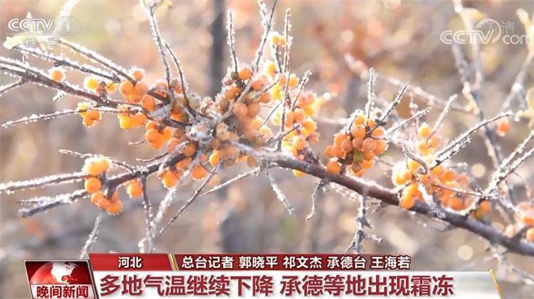 本轮寒潮趋减弱 新一轮冷空气国庆长假后来袭_天气_影响_大部地区