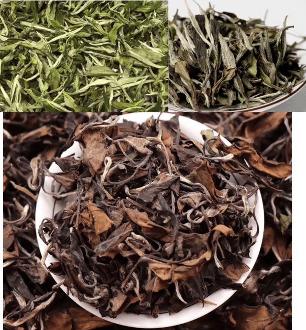 新茶,三年,八年老白茶从茶汤上来讲,新白茶一般来讲颜色比较淡,并随着