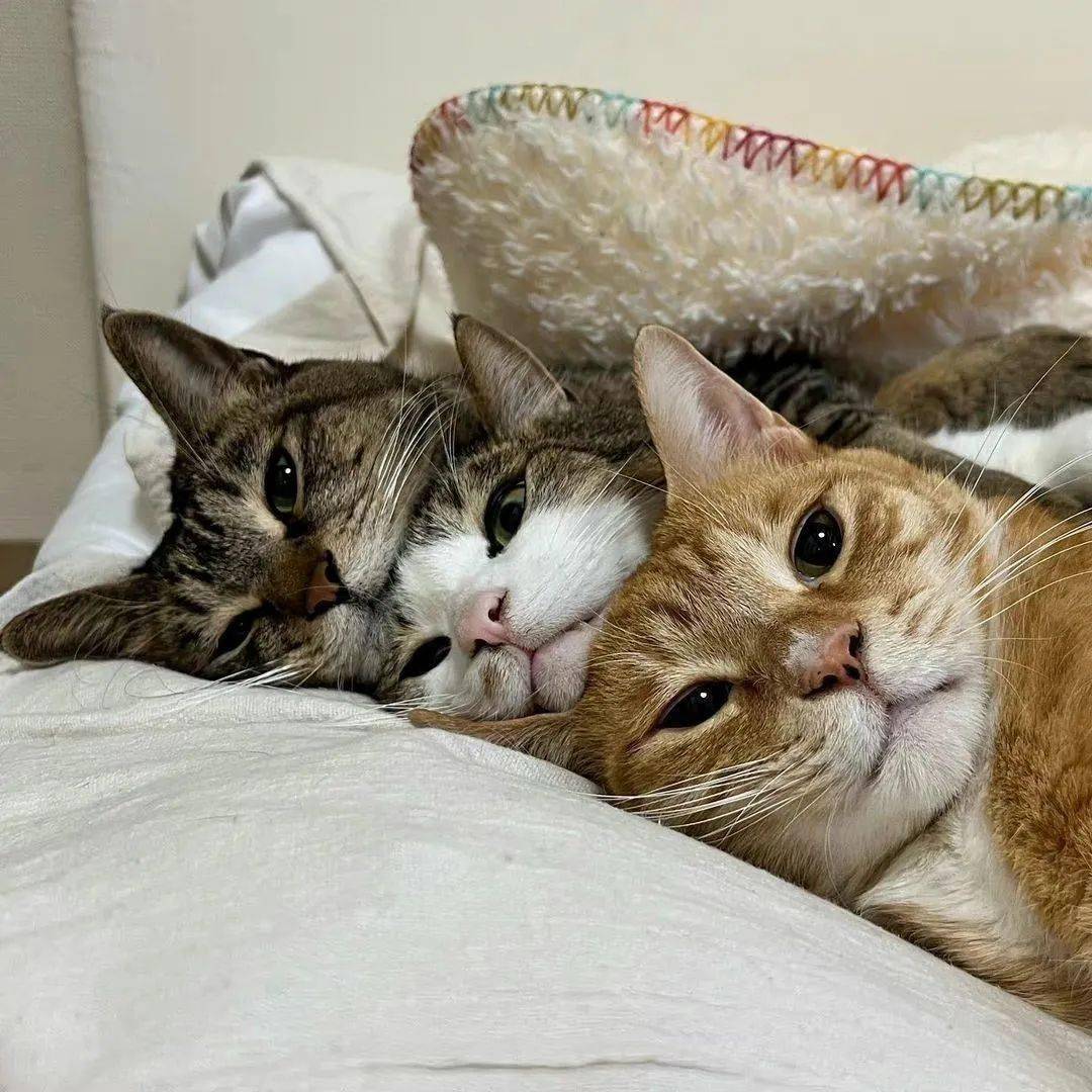 有趣的朋友圈背景图_救命_葬礼_画面