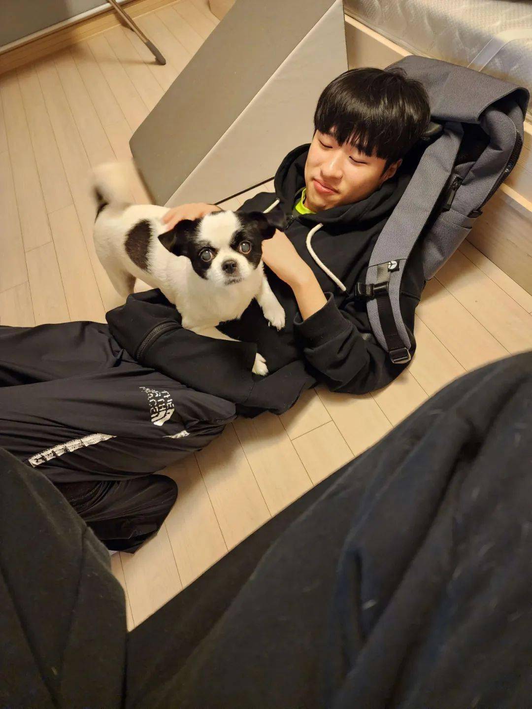 byun晒maru与小狗玩耍照片gumiho一旁观战