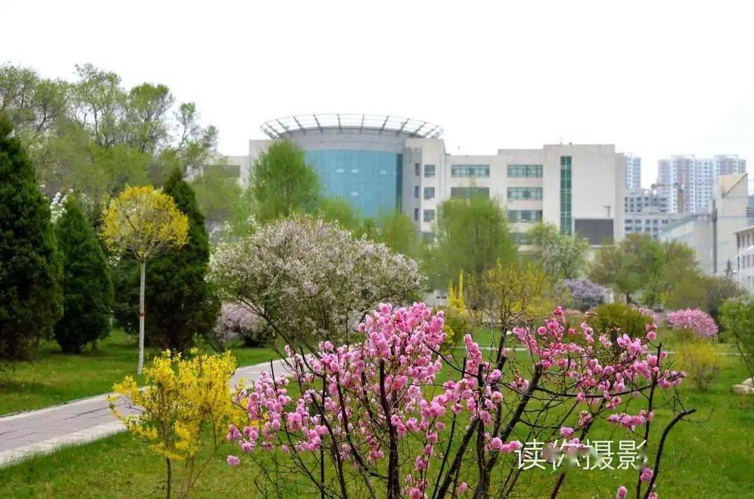 青海大学壁纸图片