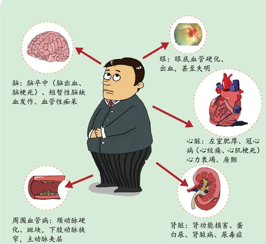 高血压的危害图片素材图片