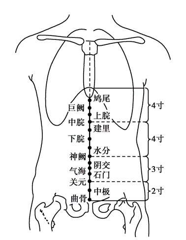 揉肺俞