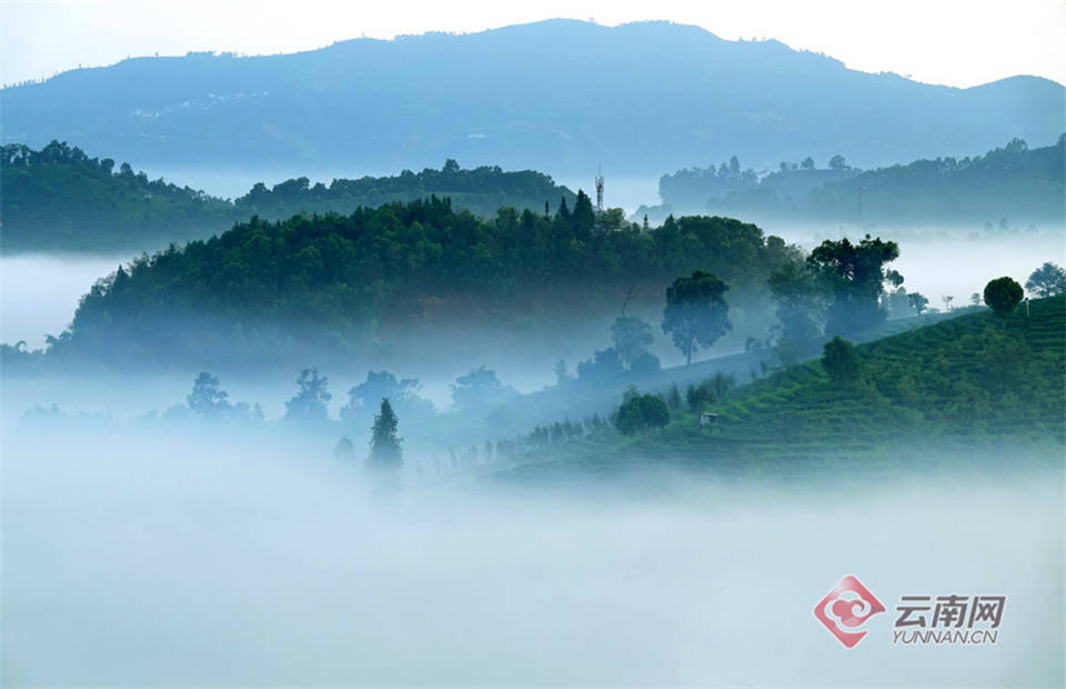 初秋时节,普洱茶山美景如画_云雾_山谷_云层