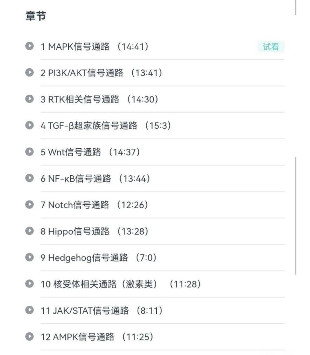mtor(哺乳动物雷帕霉素靶标)是一种分子量为289 kda的丝氨酸/苏氨酸