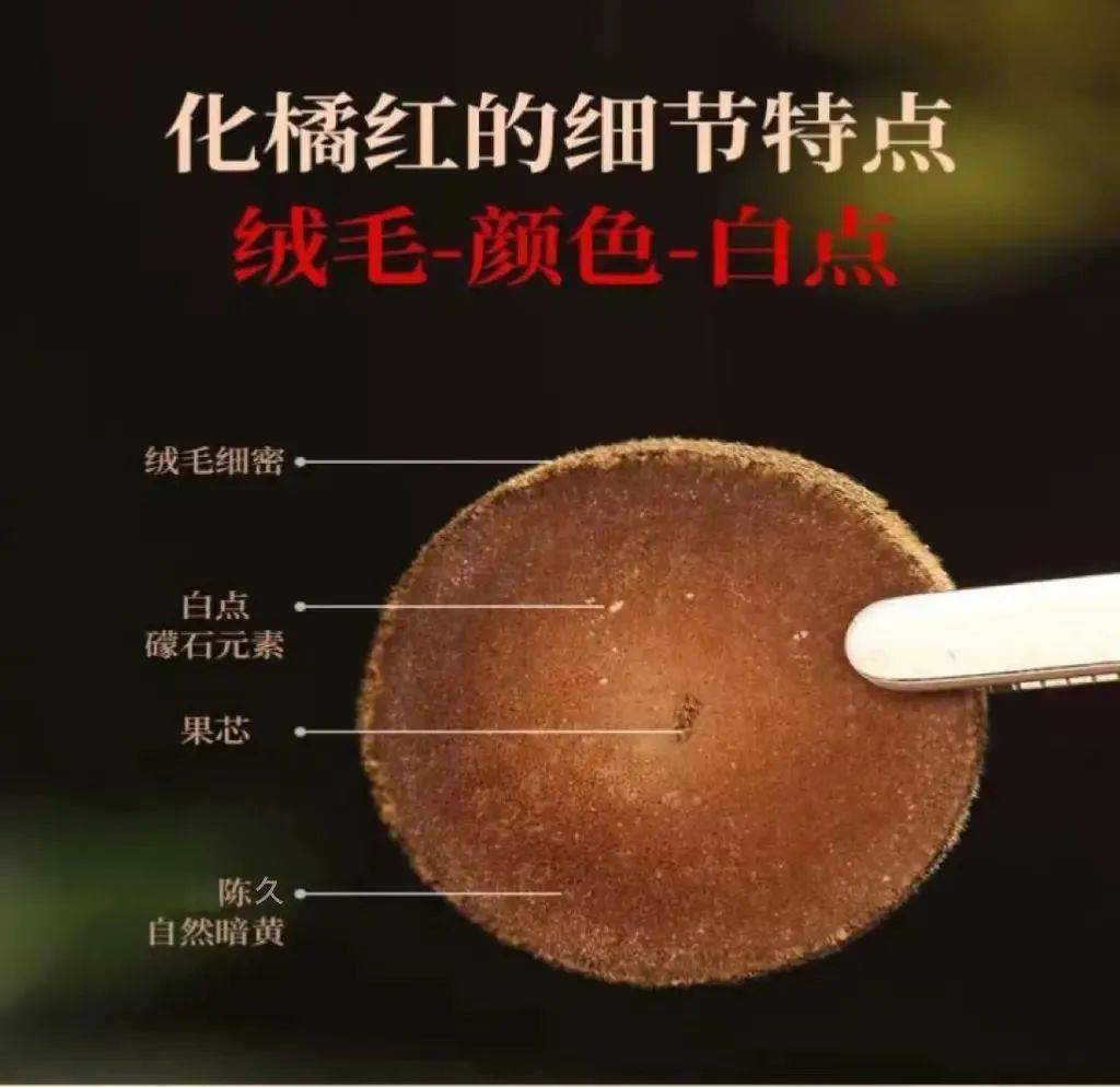 化州所产橘红由于吸收了当地土壤中特有的礞石元素(礞石为治疗顽痰之
