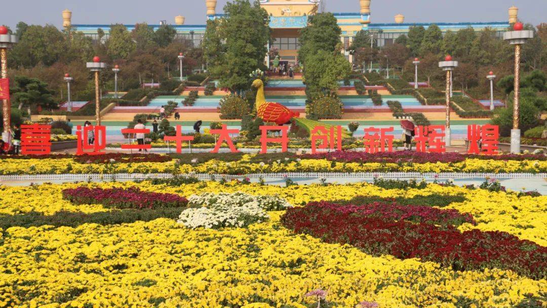 南阳市鸭河工区:载歌载舞庆国庆 欢乐谷里欢乐多_菊花_祖国_景区