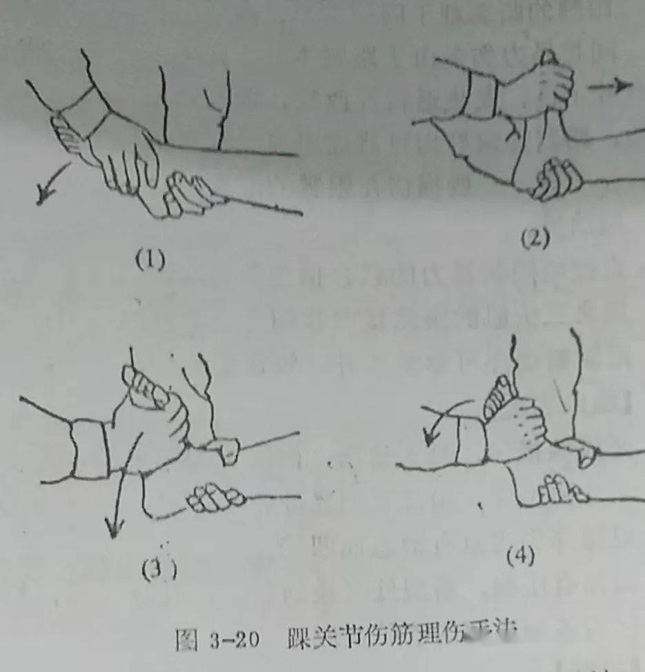 踝关节的屈伸运动图解图片