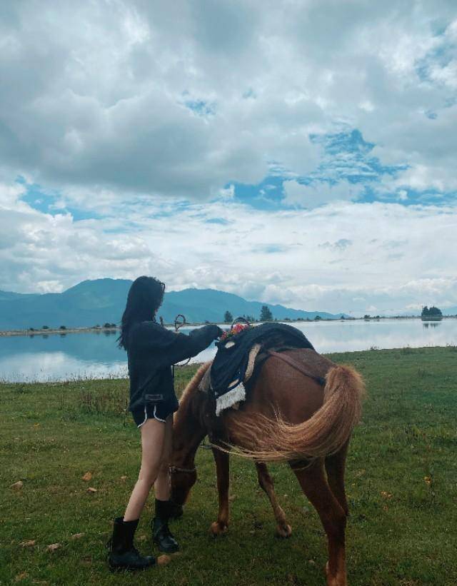 骑马女孩背影图片图片