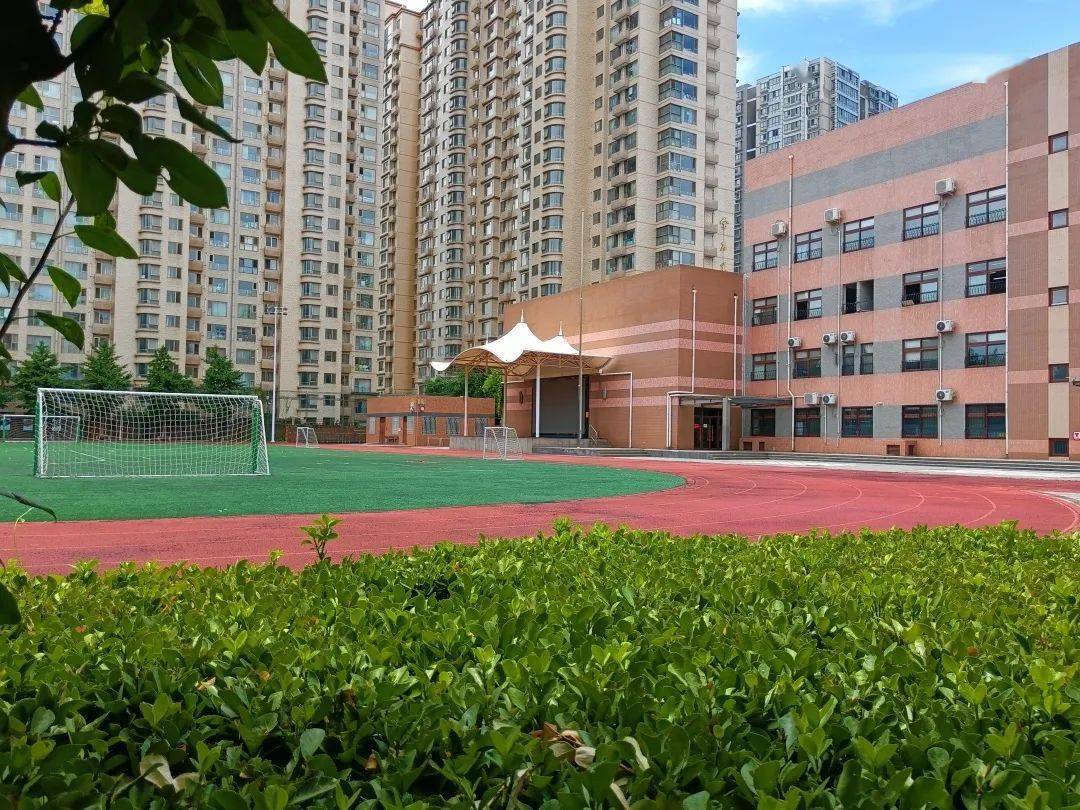 硕果累累压枝弯,拍摄者:马晓晨三帆中学朝阳学校北京师范大学校园处处