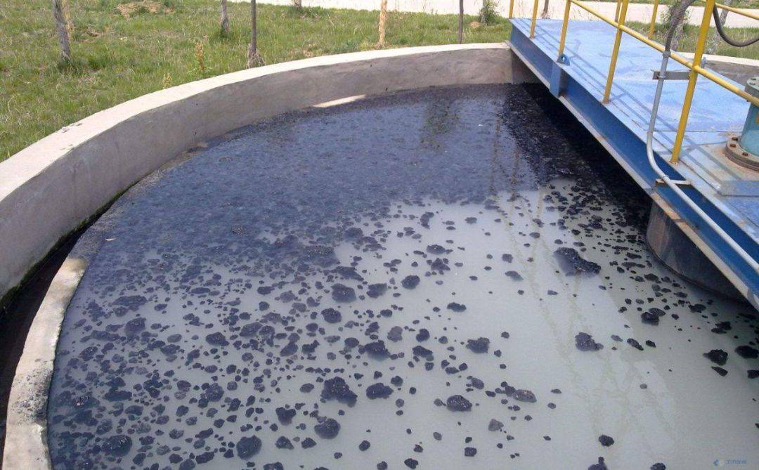 3分钟为你排查二沉池的哪些事._污泥_对策_原因
