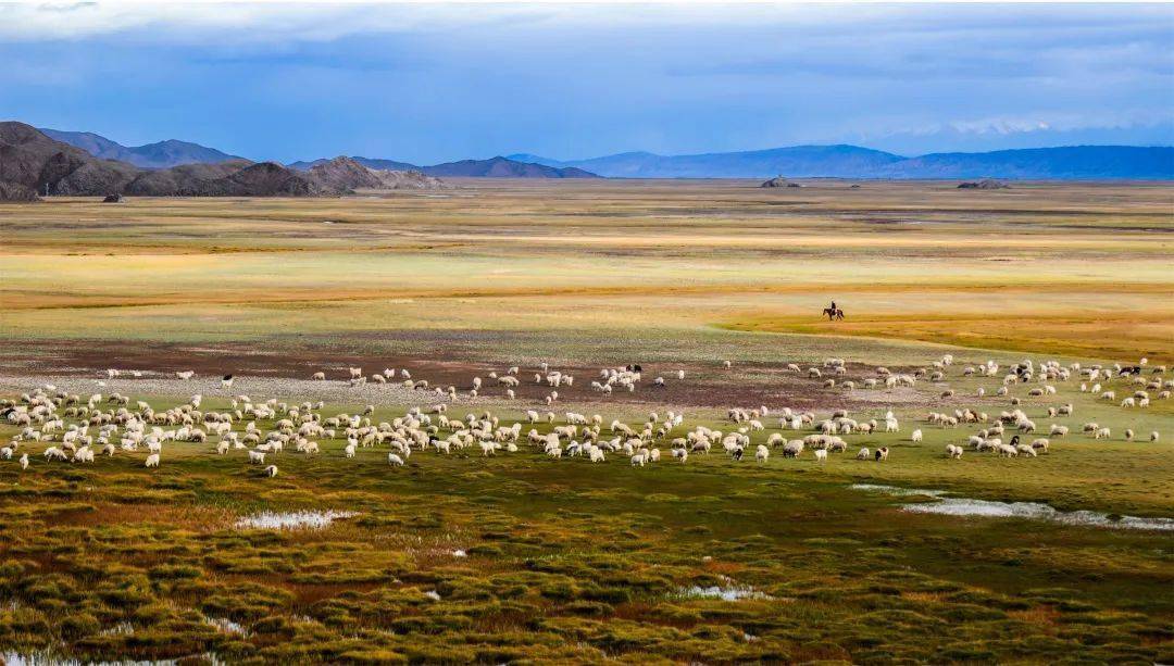 而维持了气候的相对平衡,让流域内的人们获得了适宜生存的土壤和环境