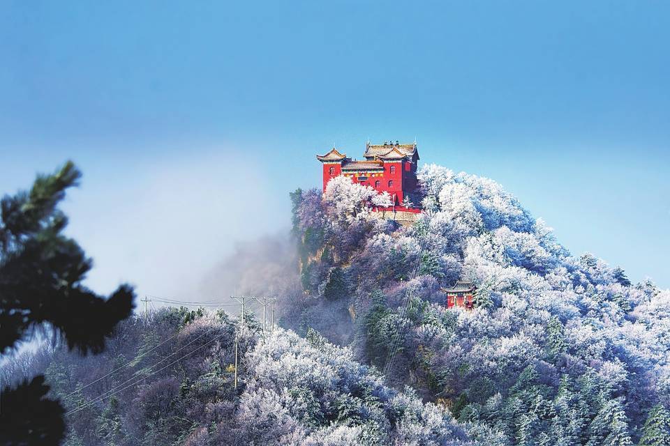 9月20日,2022(阳城)·首届山西森林旅游节在阳城县开幕,前来参加活动