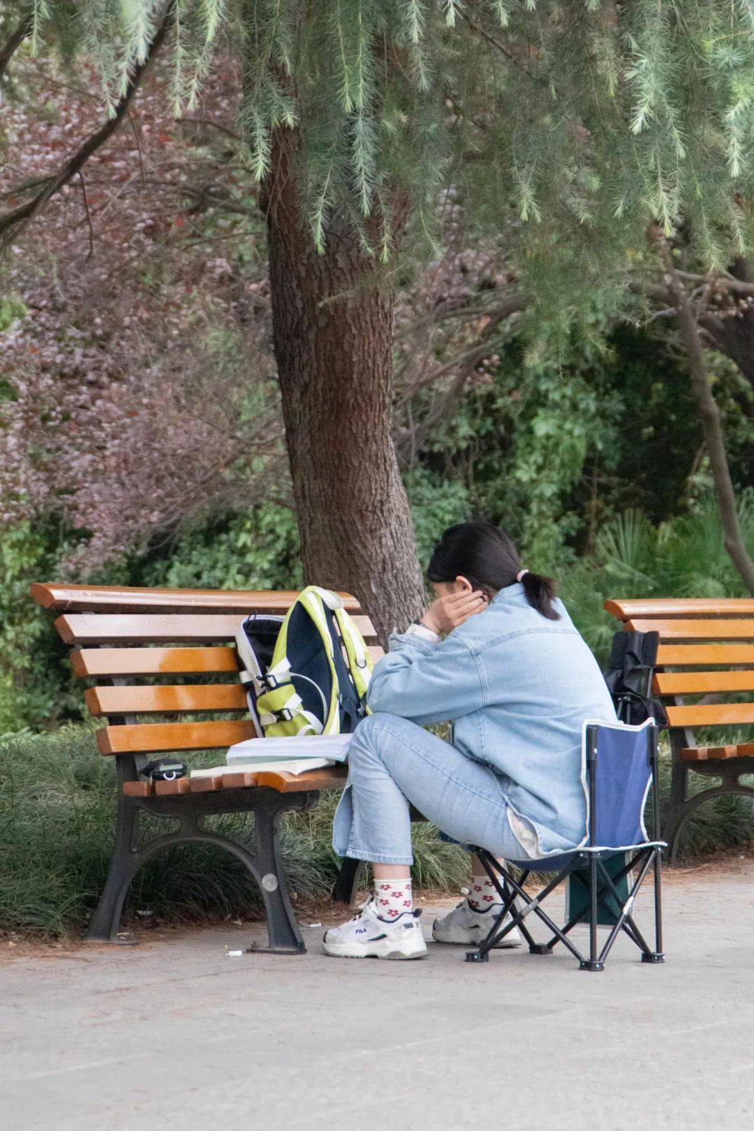 熊二携经验学长学姐来助阵!_图片_考试_目标