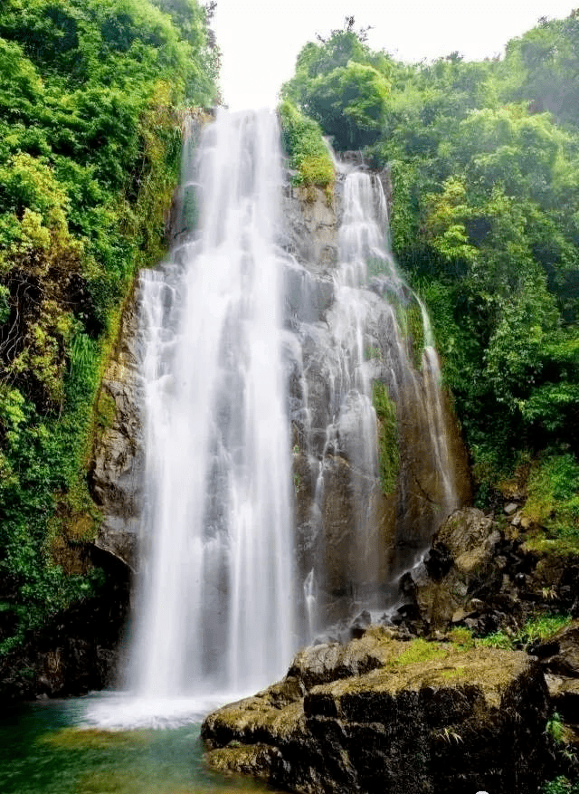 姿态萌趣,水清景靓,泉水叮咚,环石绕林,一条长达数百米的高山流水景观