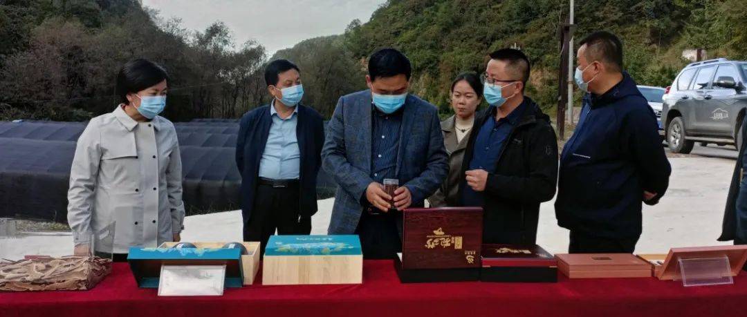 张永刚在两当县调研_工作_发展_群众
