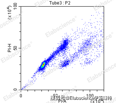 Elabscience流式课堂|细胞周期检测中的常见问题及解决方案