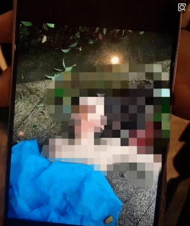 女演员凌晨跳楼,顶流男友被抓了._任娇_杨旭文_好友