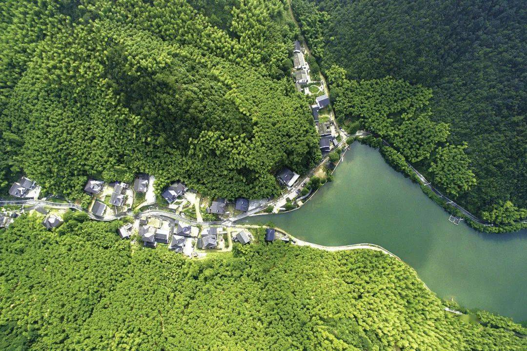 来余杭乡村走一遭,幸福感爆棚!_青山村_鸬鸟镇_黄湖镇