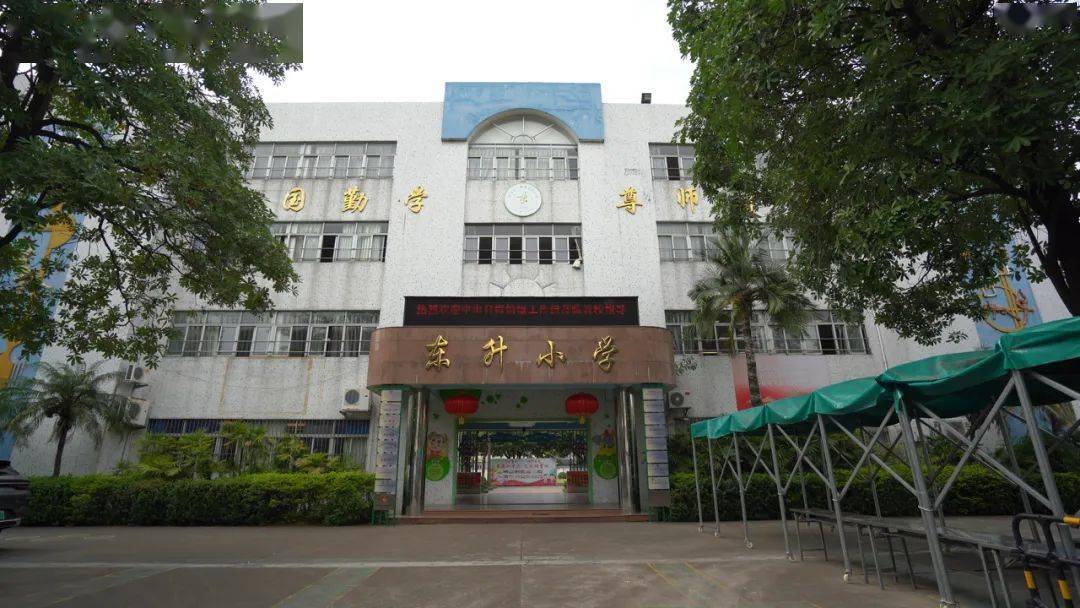 乡村学校行——东升小学,小小棒球打出精彩人生