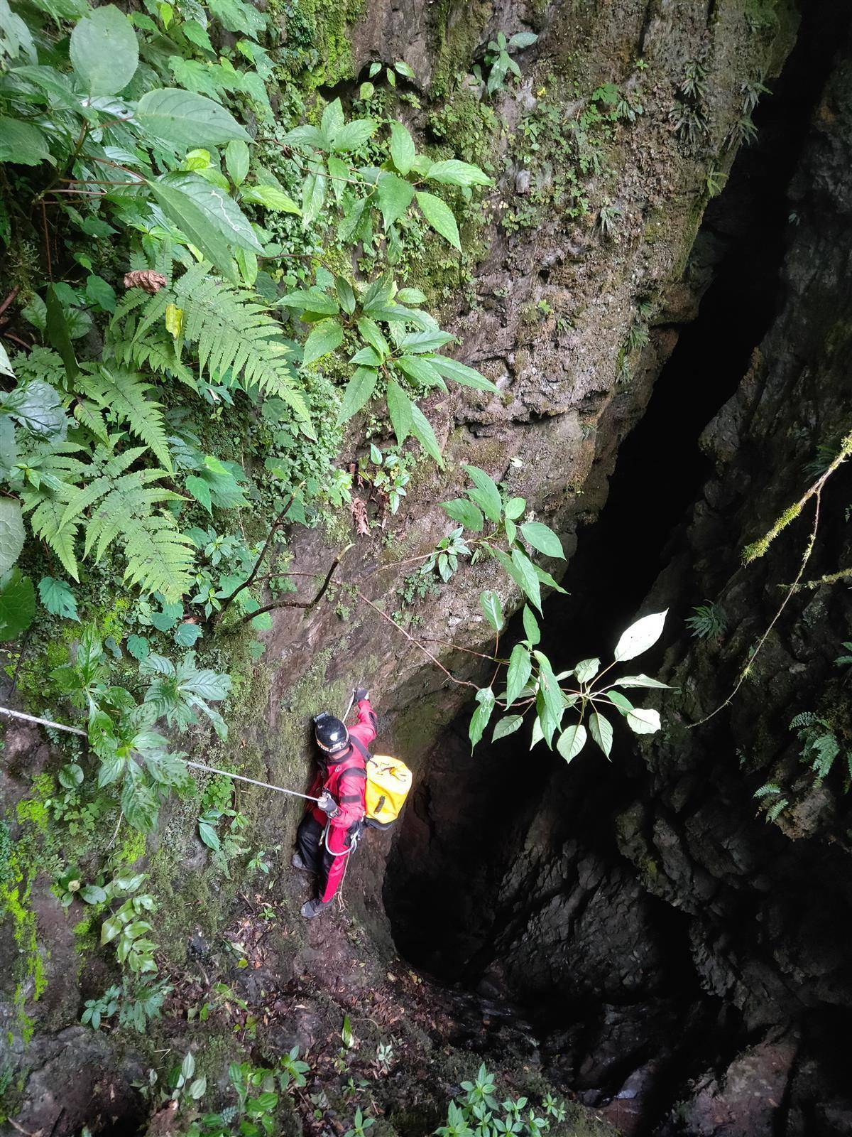 湖南一处百米深洞穴藏大熊猫化石，系救援队探险时意外发现