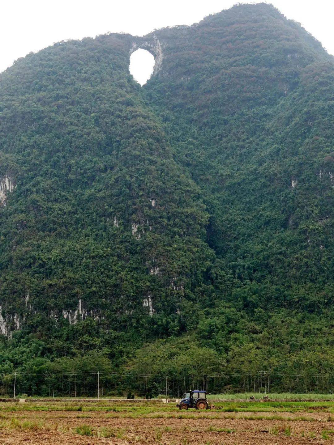 环江:月亮山下看"丰"景,田间地头秋种忙_土地_往来_油菜