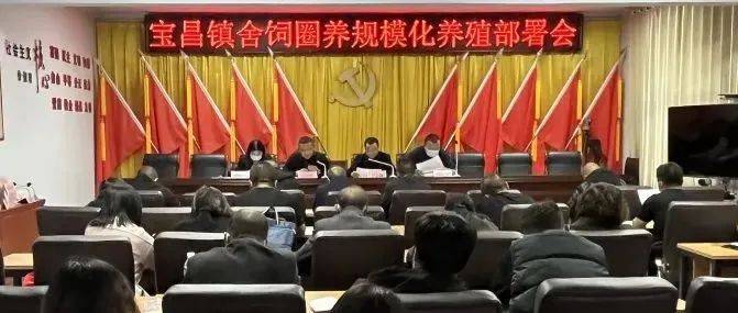 宝昌镇召开舍饲圈养规模化养殖部署会议 发展 政策 进行