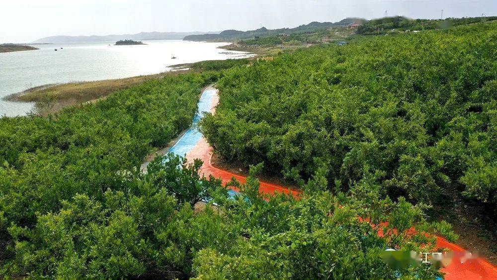 藍天白雲碧水丹江口4.丹江口至老河口一級公路開工!起點和終點是這裡!