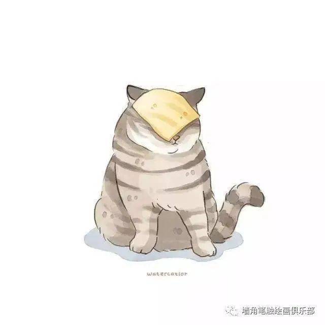 参考之资·艺‖ 猫奴画师将网红“沙雕”猫酿成插画后，胜利吸粉20万！