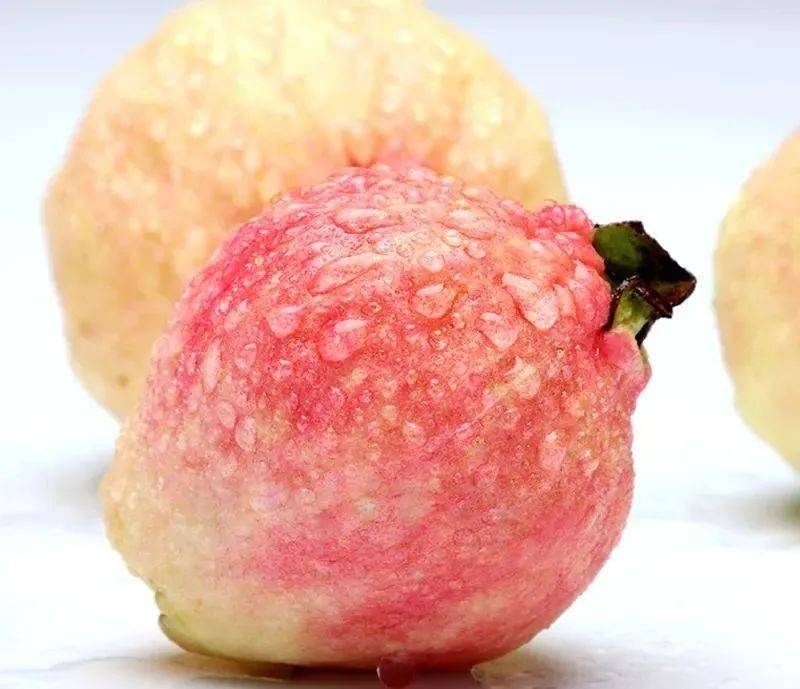 番石榴_胭脂红_果肉