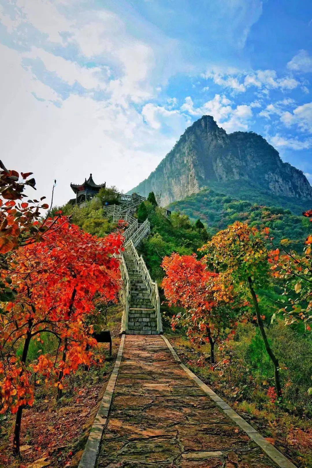 秋风飒飒 层林尽染,荆紫仙山登高赏秋正当时!_优惠_景区_观光车